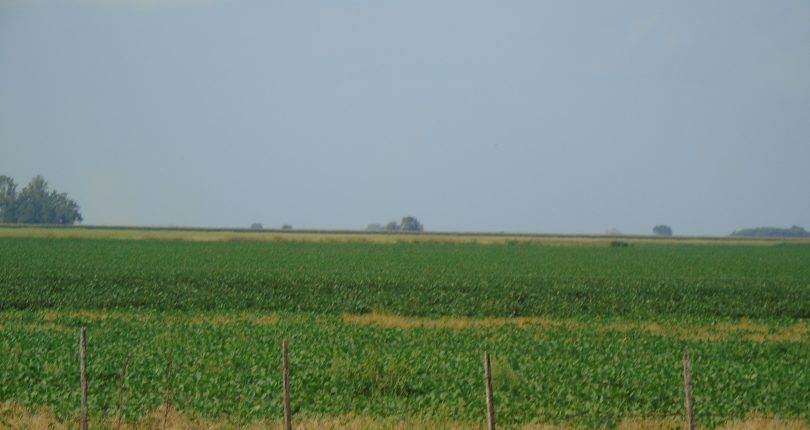 CAMPO AGRICOLA A LA VENTA